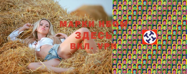 молекула духа Покачи