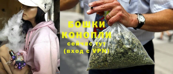 молекула духа Покачи